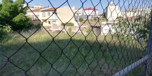 Terreno en Barrio San Alberto - La Alcubilla - Florisol photo 4