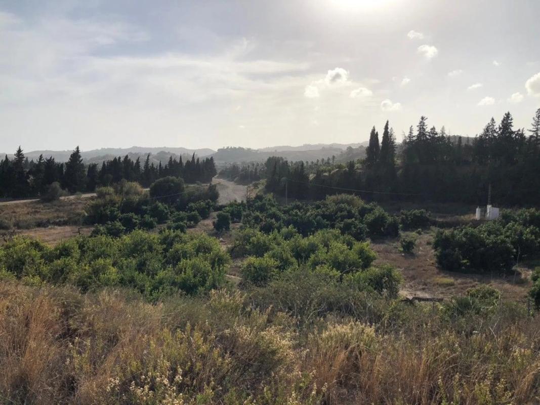 Terreno en venta en Mijas, Malaga photo 5