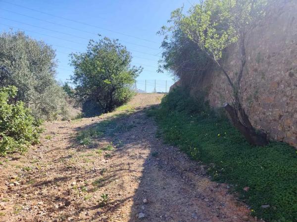Terreno en Barrio Fuente Alegre - El Chaparral - Los Morales photo 1