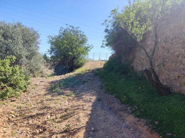 Terreno en Barrio Fuente Alegre - El Chaparral - Los Morales photo 4