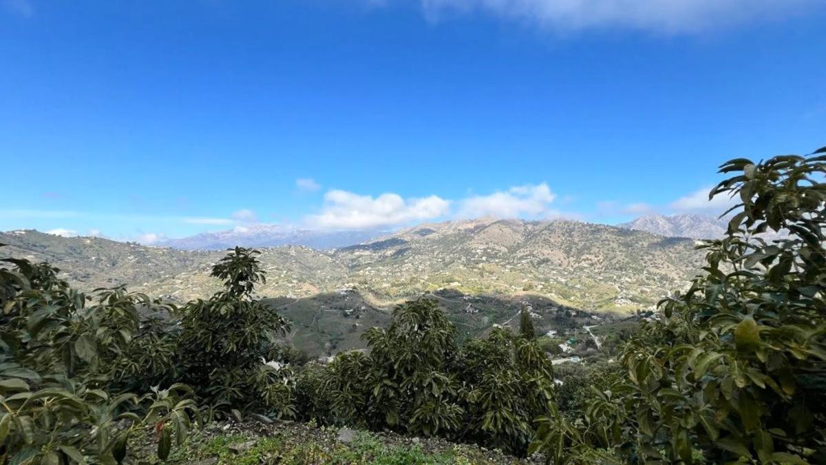 Działka na sprzedaż w Competa, Malaga photo 2