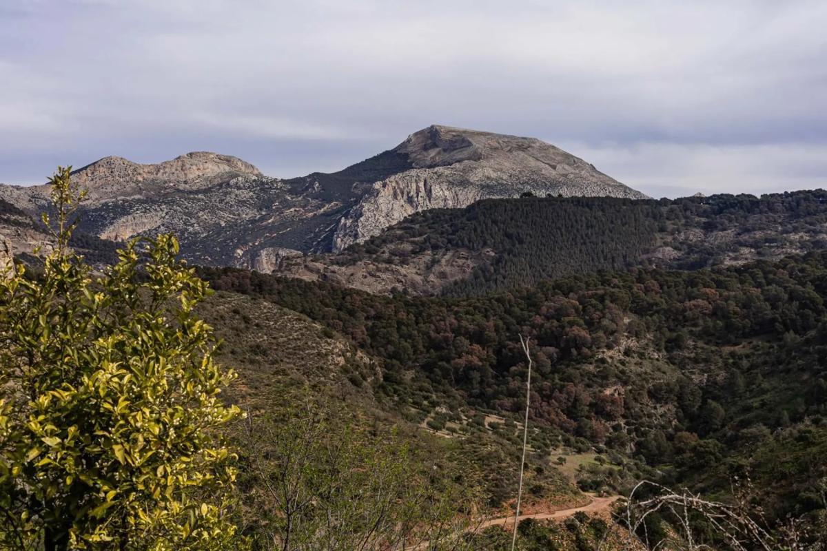 Terreno en venta en Ardales, Malaga photo 4