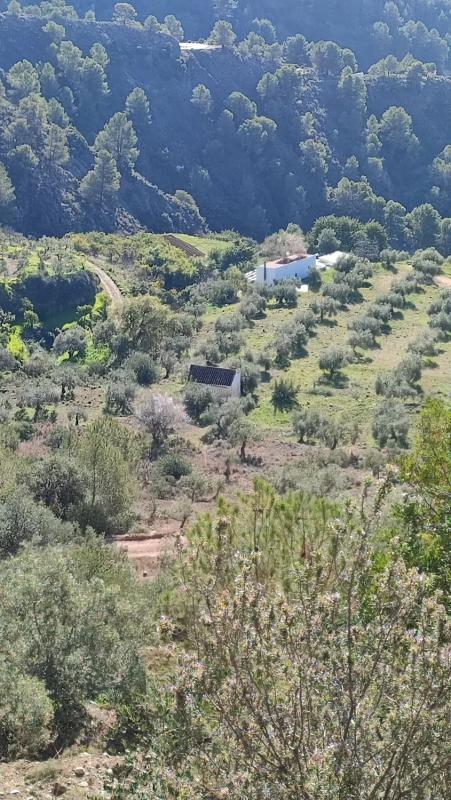 Terreno en venta en Yunquera, Malaga photo 1