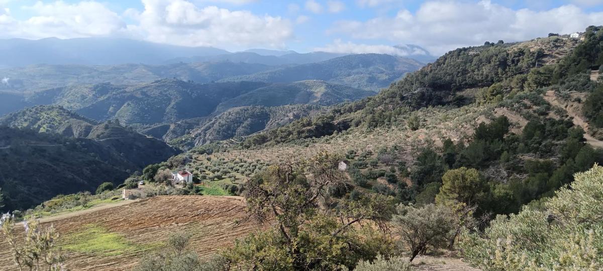 Terreno en venta en Yunquera, Malaga photo 2