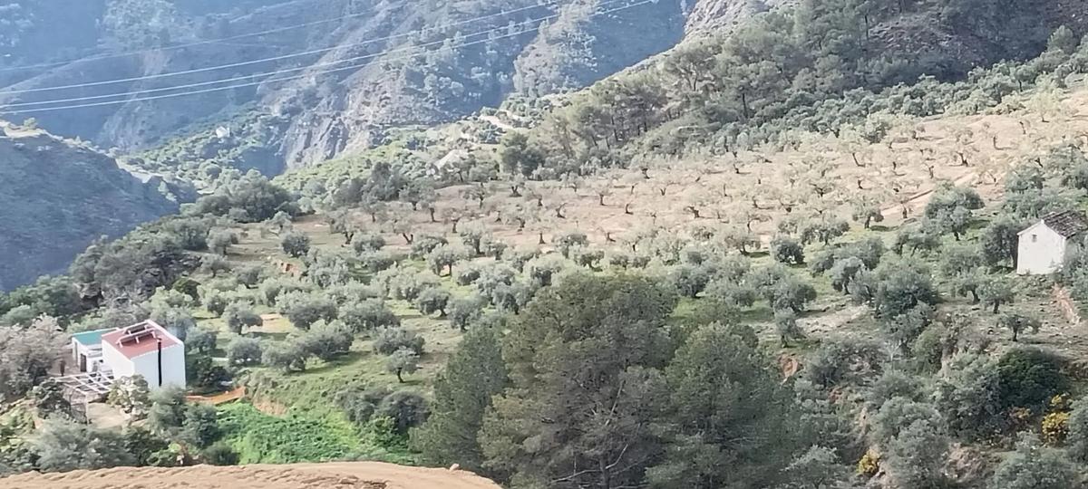 Terreno en venta en Yunquera, Malaga photo 4