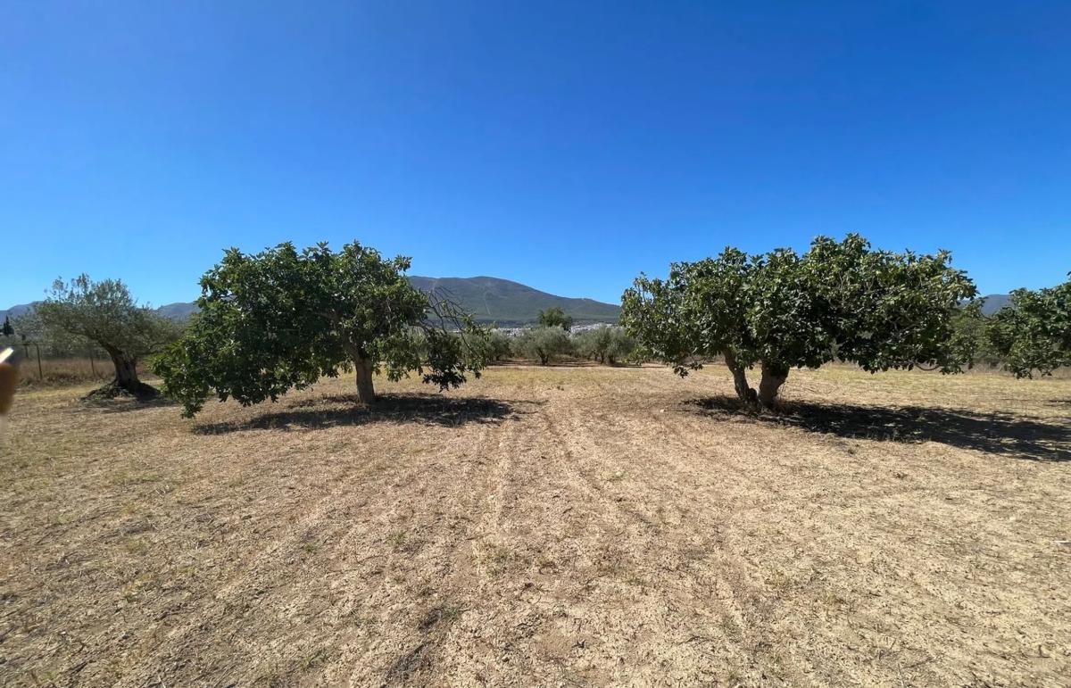 Terreno en venta en Alhaurín el Grande, Malaga photo 2