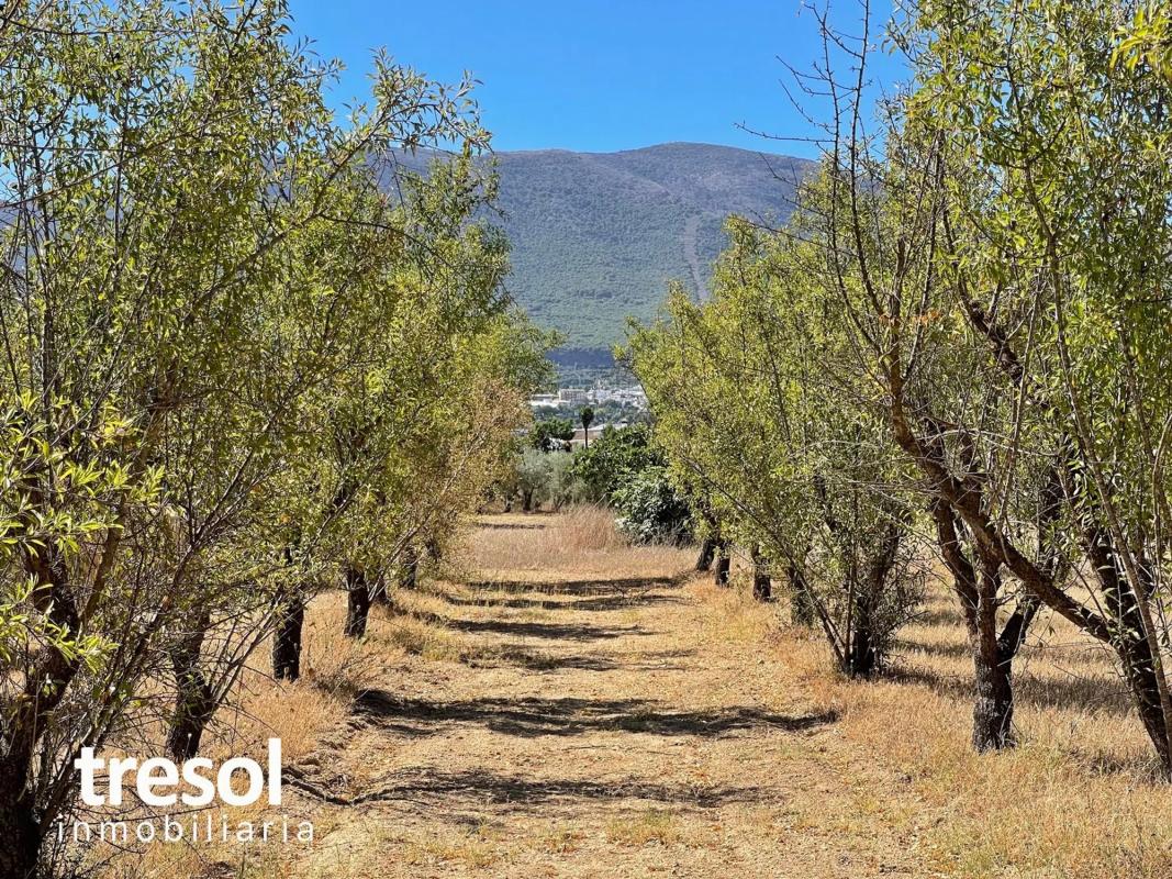 Terreno en venta en Alhaurín el Grande, Malaga photo 3