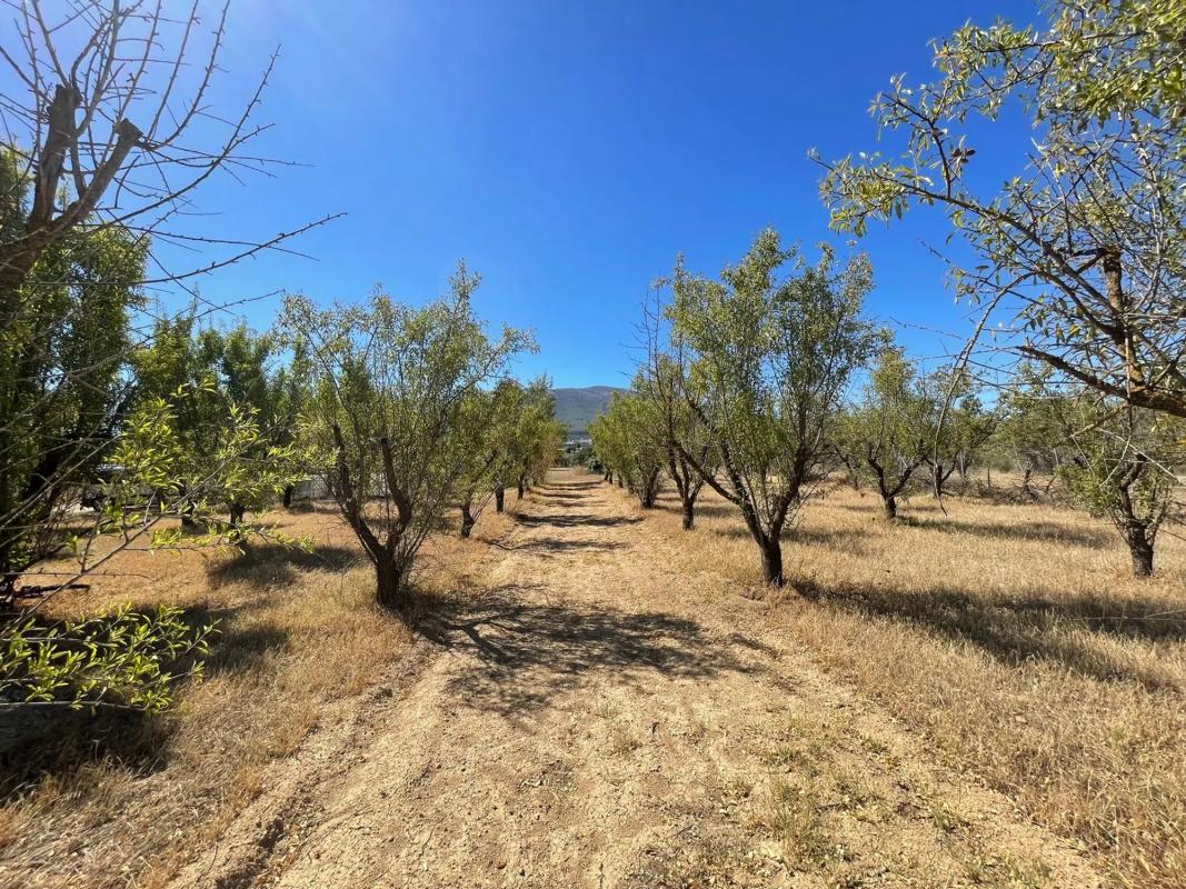 Terreno en venta en Alhaurín el Grande, Malaga photo 4