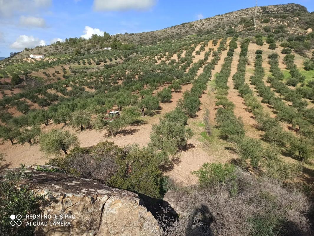 Terreno en venta en Guaro, Malaga photo 1