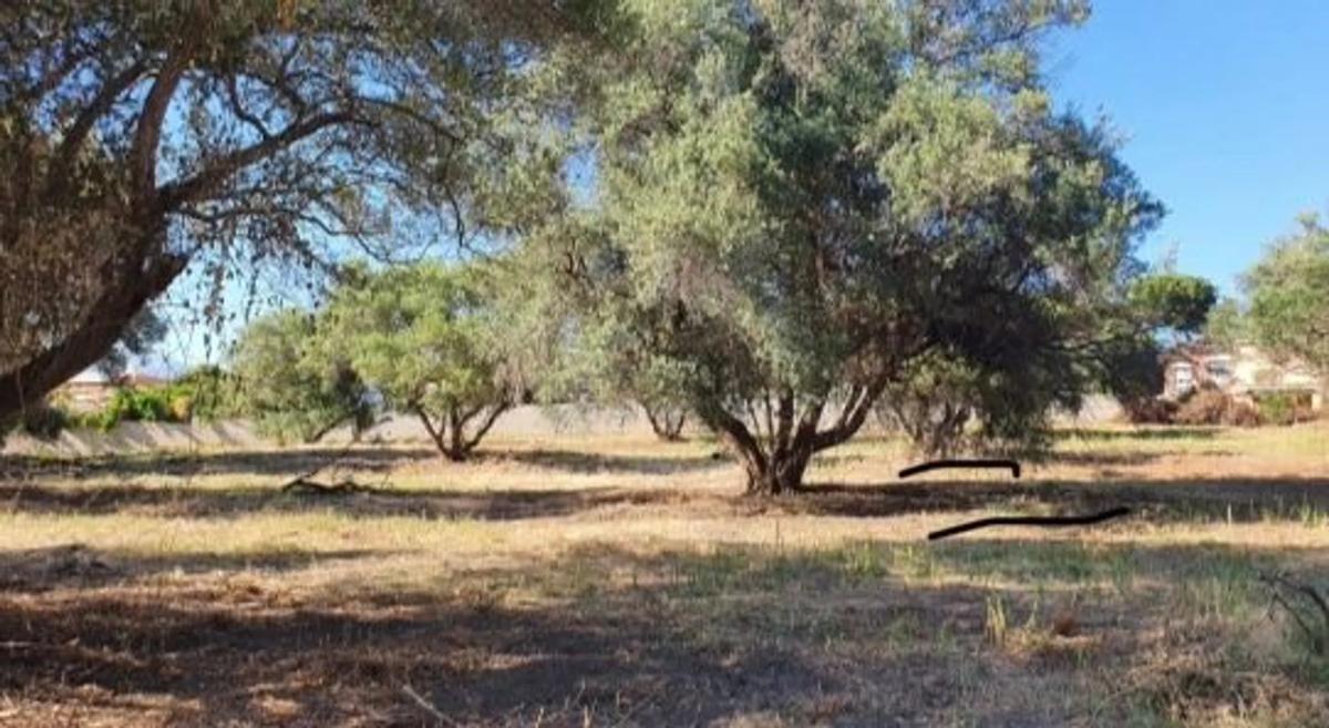 Terreno en venta en Marbella, Malaga photo 4