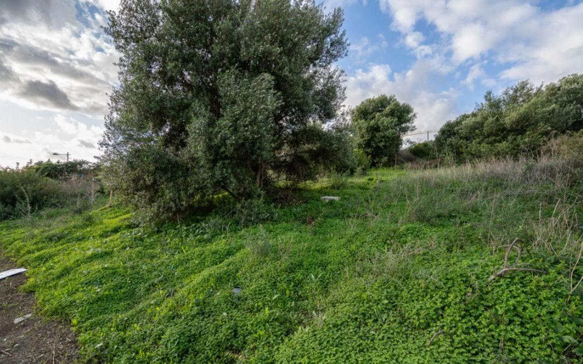 Terreno en venta en Estepona, Malaga photo 1