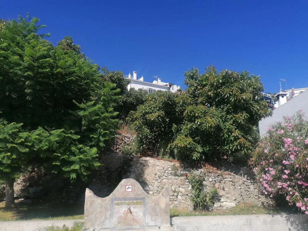 Land for sale in Canillas de Albaida, Malaga photo 4