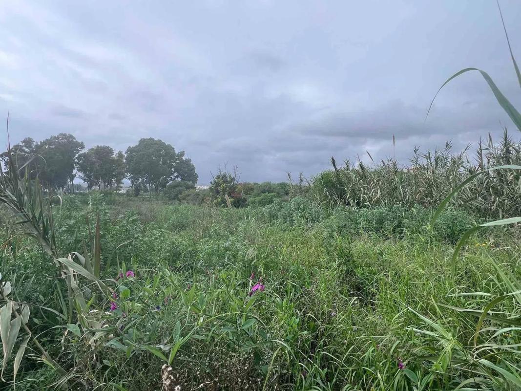 Land for sale in Estepona, Malaga photo 1