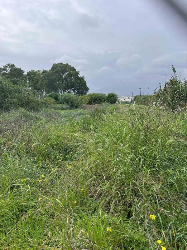 Land for sale in Estepona, Malaga photo 2