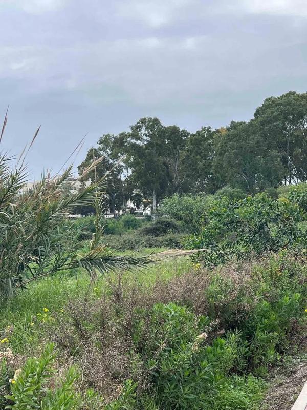 Land for sale in Estepona, Malaga photo 3