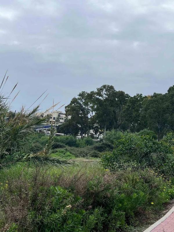 Land for sale in Estepona, Malaga photo 5