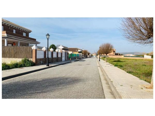 Terreno en Archidona photo 2