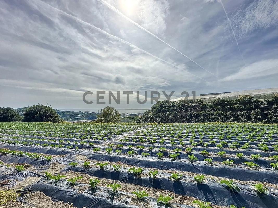 Участок земли на продажу в Алгарробо, Малага photo 3