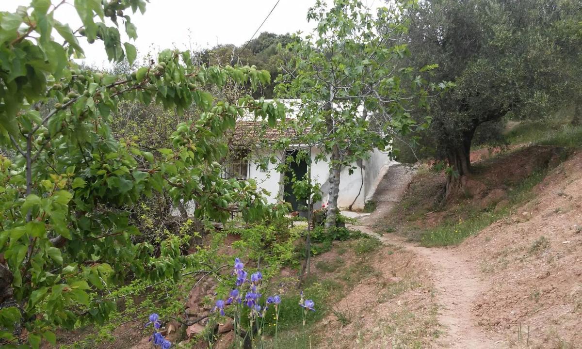 Działka na sprzedaż w Kolmenar, Malaga photo 3