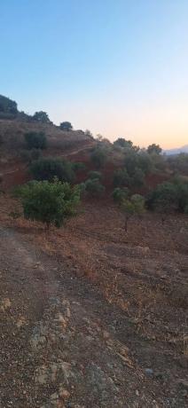 Terreno en paraje de buenavista s/n sn thumbnail 2