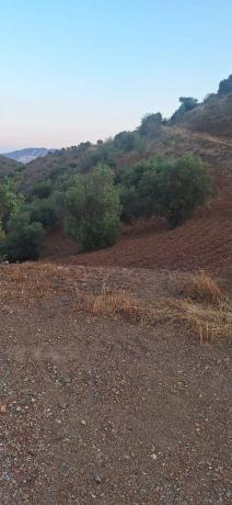 Terreno en paraje de buenavista s/n sn photo 4