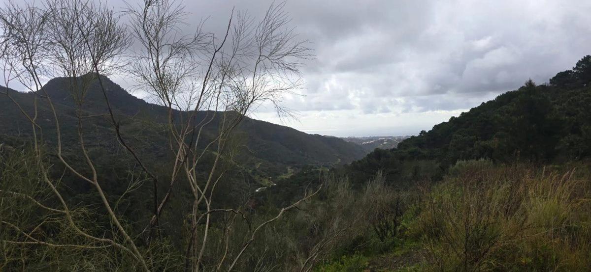 Terreno en venta en Benahavís, Malaga photo 1
