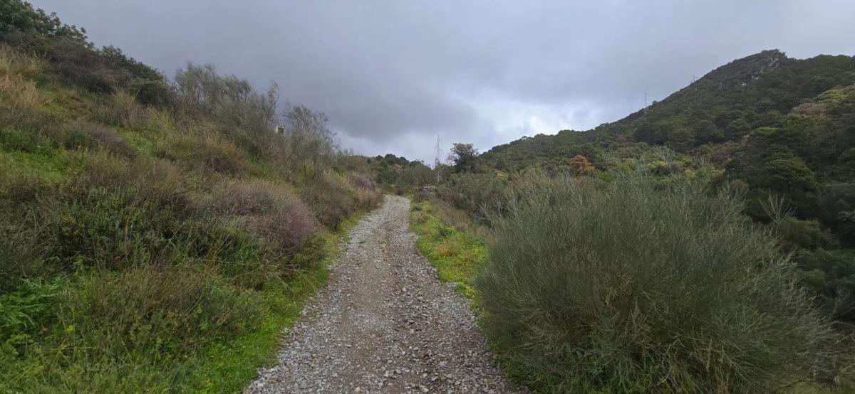 Terreno en venta en Benahavís, Malaga photo 3