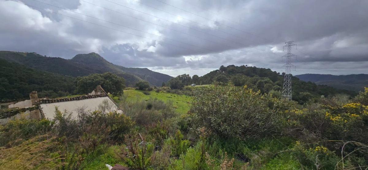 Terreno en venta en Benahavís, Malaga photo 4