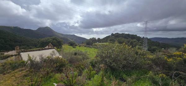 Terreno en camino de Estepona a Ronda photo 4