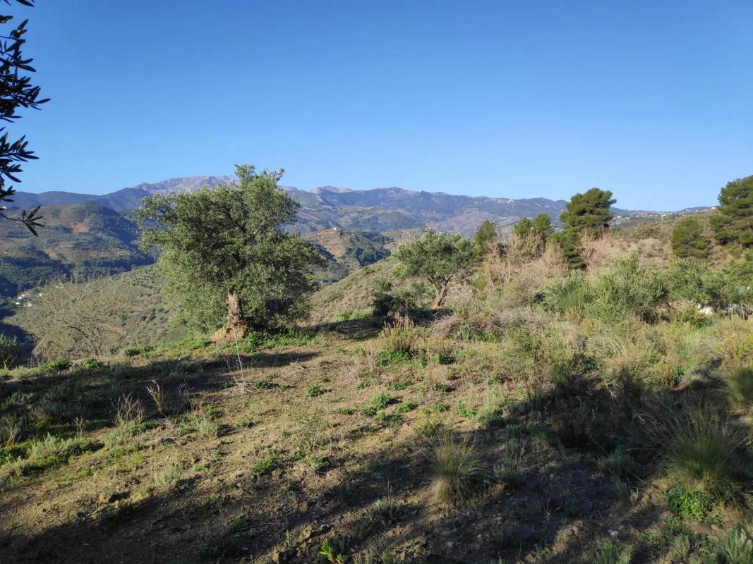 Terreno en venta en Alozaina, Malaga photo 3