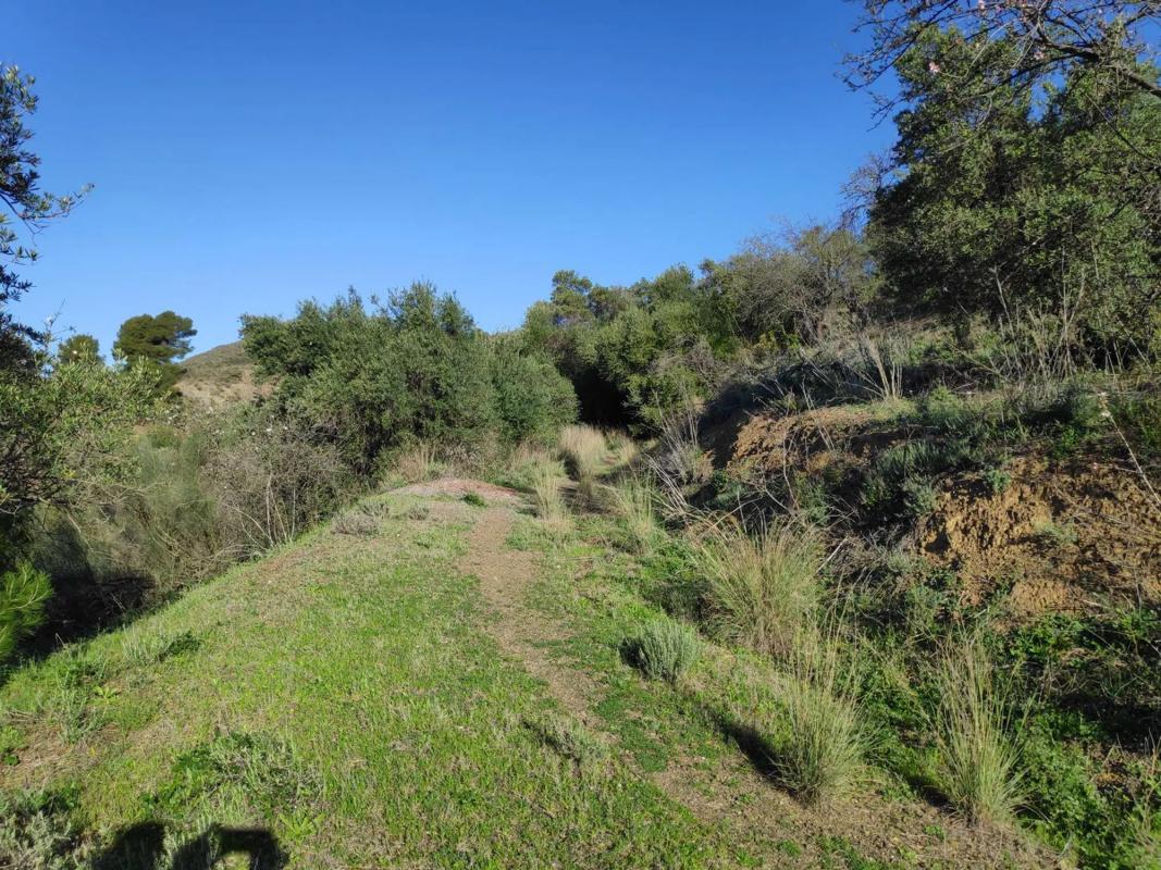 Terreno en venta en Alozaina, Malaga photo 4