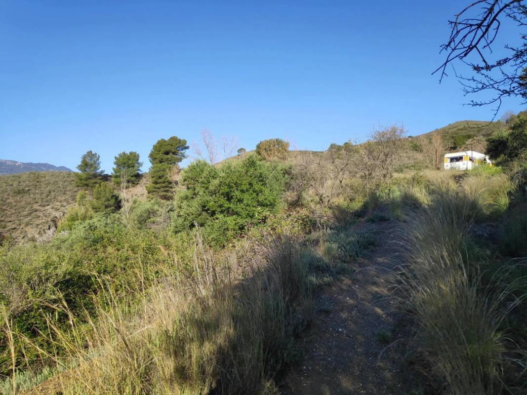 Terreno en venta en Alozaina, Malaga photo 5