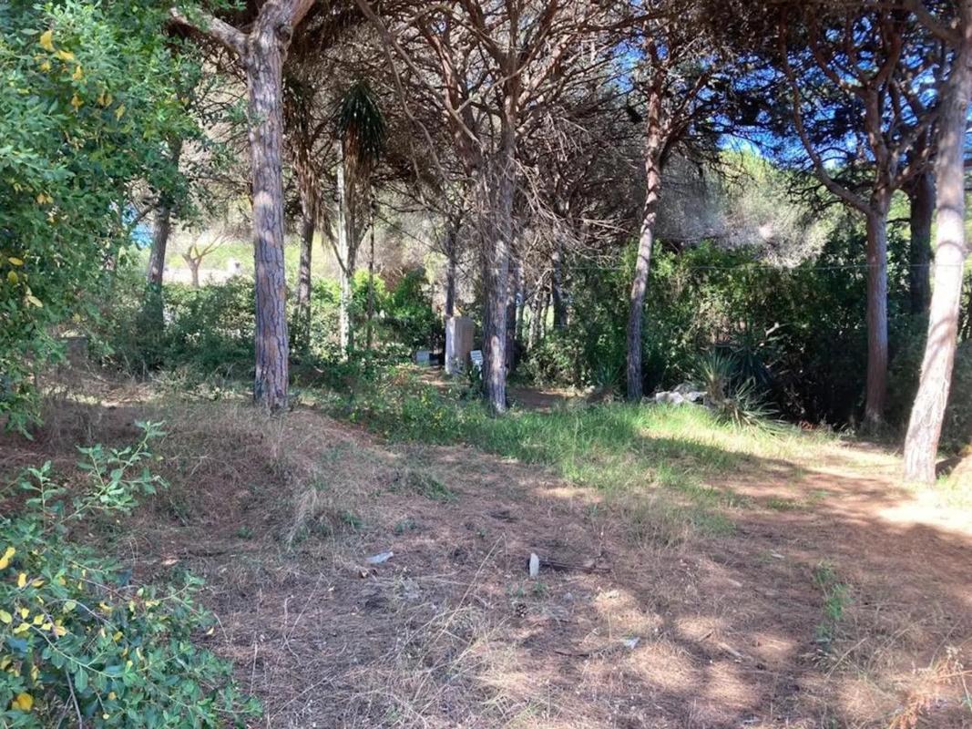 Terreno en venta en Marbella, Malaga photo 2