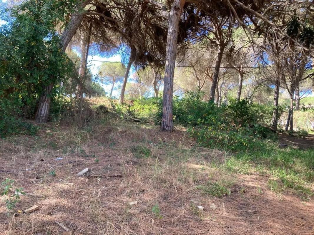 Terreno en venta en Marbella, Malaga photo 4