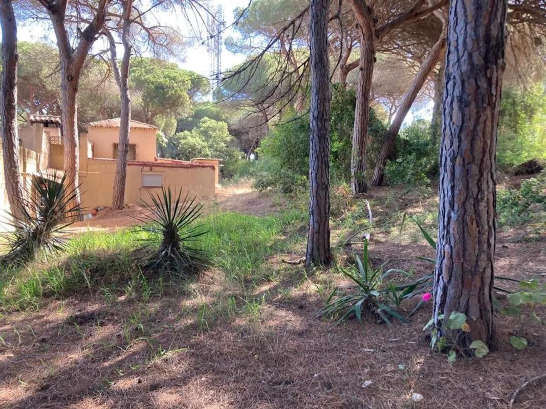 Terreno en venta en Marbella, Malaga photo 5