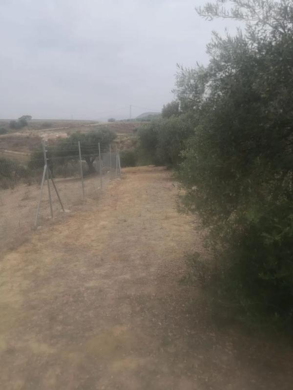 Terreno en venta en Alhaurín el Grande, Malaga photo 3
