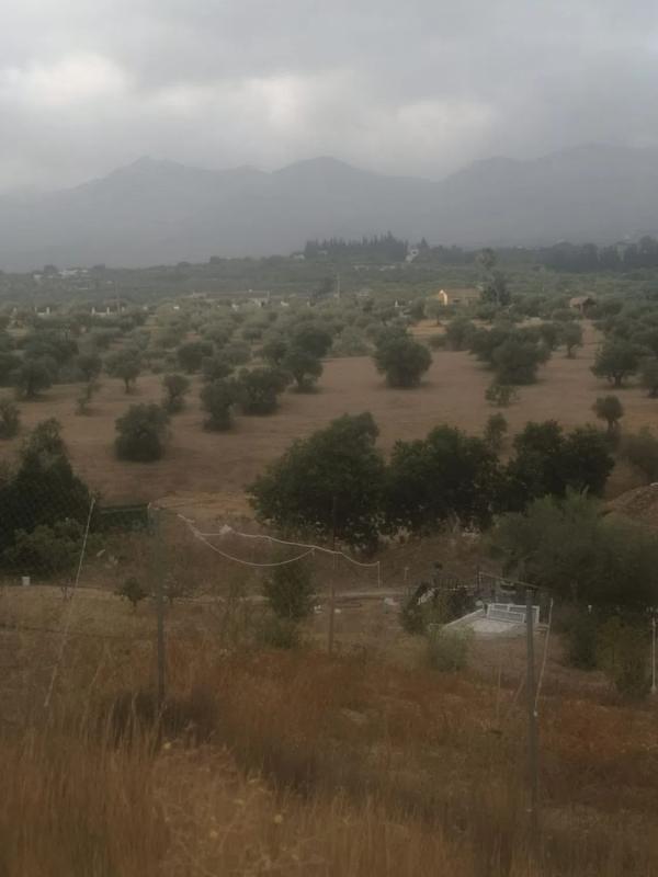 Terreno en venta en Alhaurín el Grande, Malaga photo 4