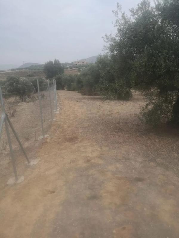 Terreno en venta en Alhaurín el Grande, Malaga photo 5