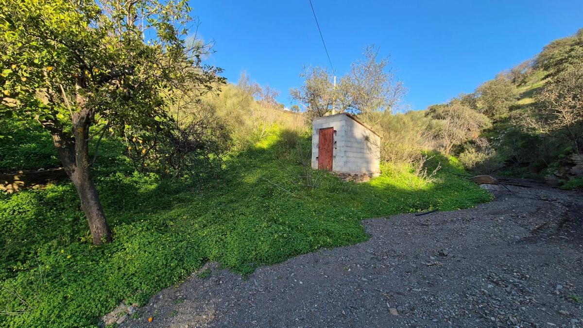 Land for sale in Alora, Malaga photo 4