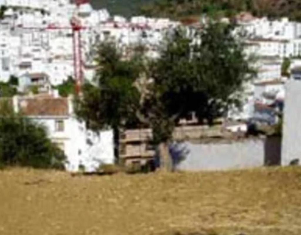 Land for sale in Tolox, Malaga photo 1