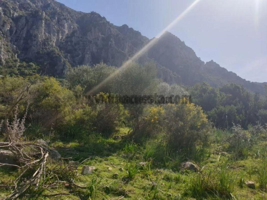 Terreno en venta en Casares, Malaga photo 1
