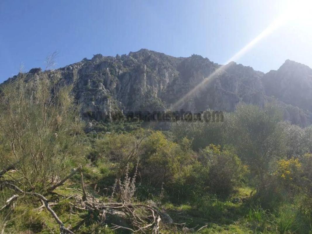 Terreno en venta en Casares, Malaga photo 2
