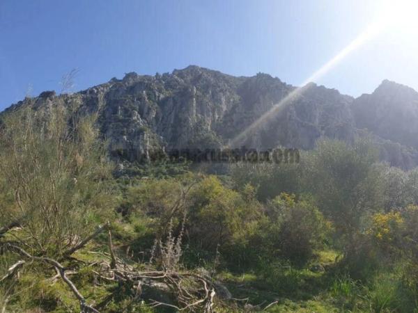 Terreno en Casares photo 2