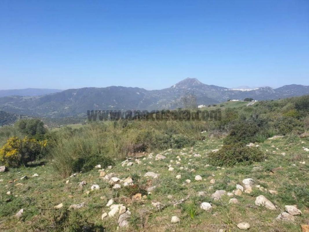 Terreno en venta en Casares, Malaga photo 3