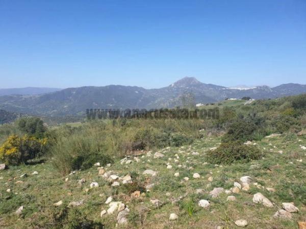 Terreno en Casares photo 3
