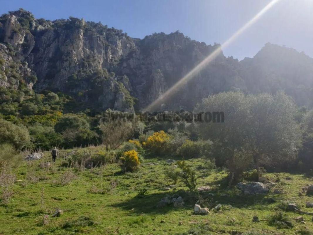 Terreno en venta en Casares, Malaga photo 4