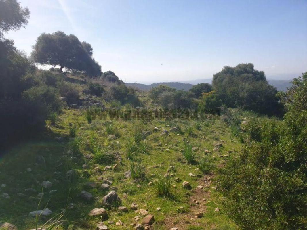 Terreno en venta en Casares, Malaga photo 5