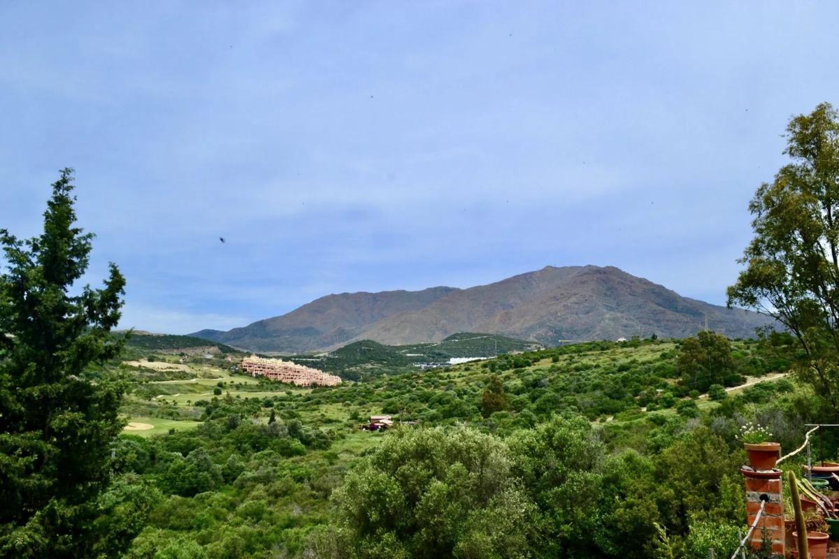 Land for sale in Estepona, Malaga photo 1