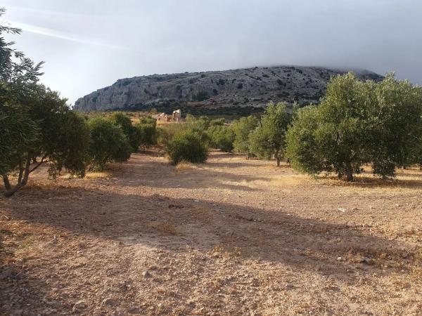 Terreno en A-343, km 4 photo 1