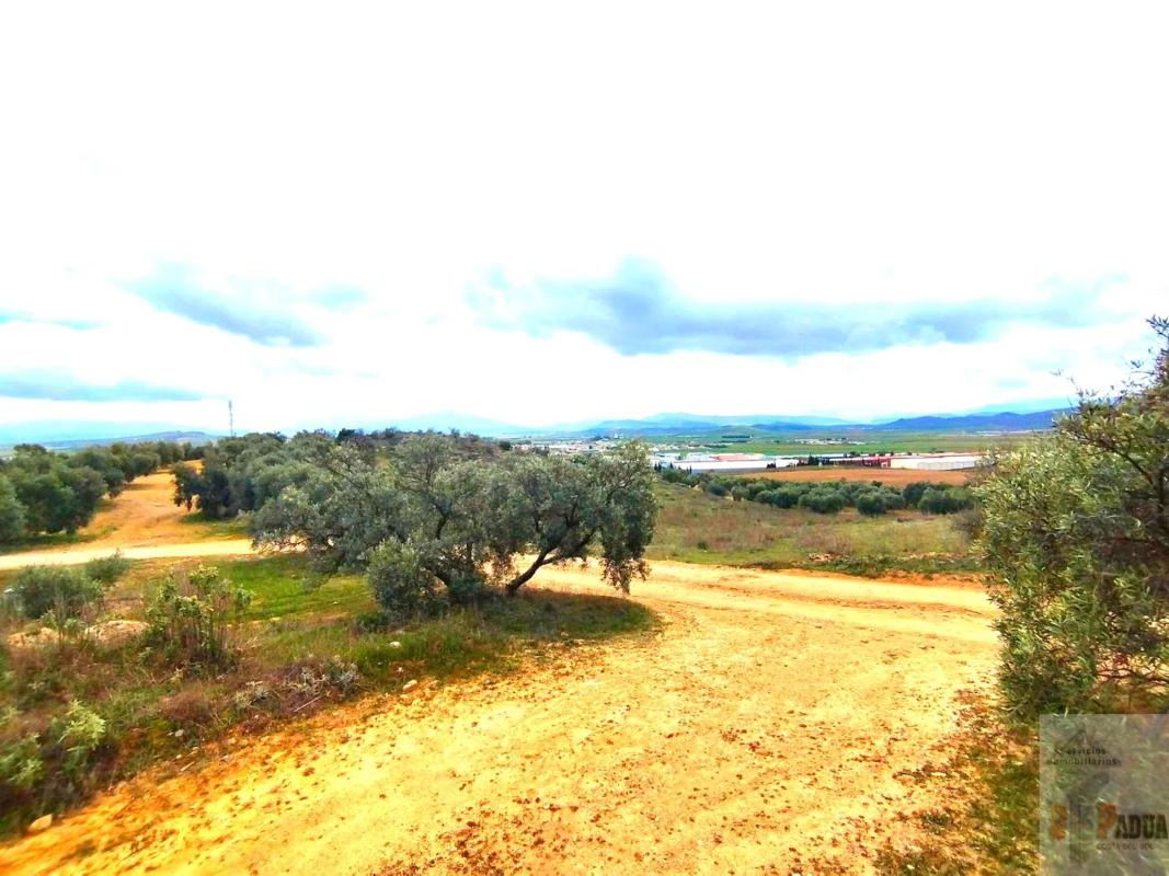 Terreno en venta en Campillos, Malaga photo 1